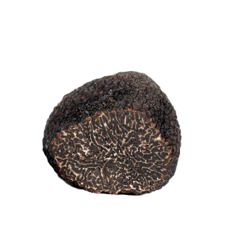 Truffe Noire Fraîche d'Hiver du Périgord (Tuber Melanosporum) de 42,5g